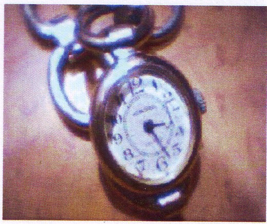 De l'utilité du FAM. Montre_Aurore.thumb